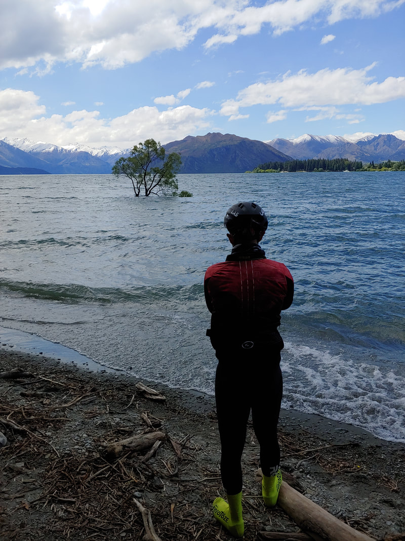 Nuova Zelanda in bicicletta, Wanaka tree