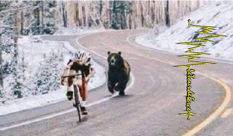 La Grand Bourle, ciclista inseguito da orso