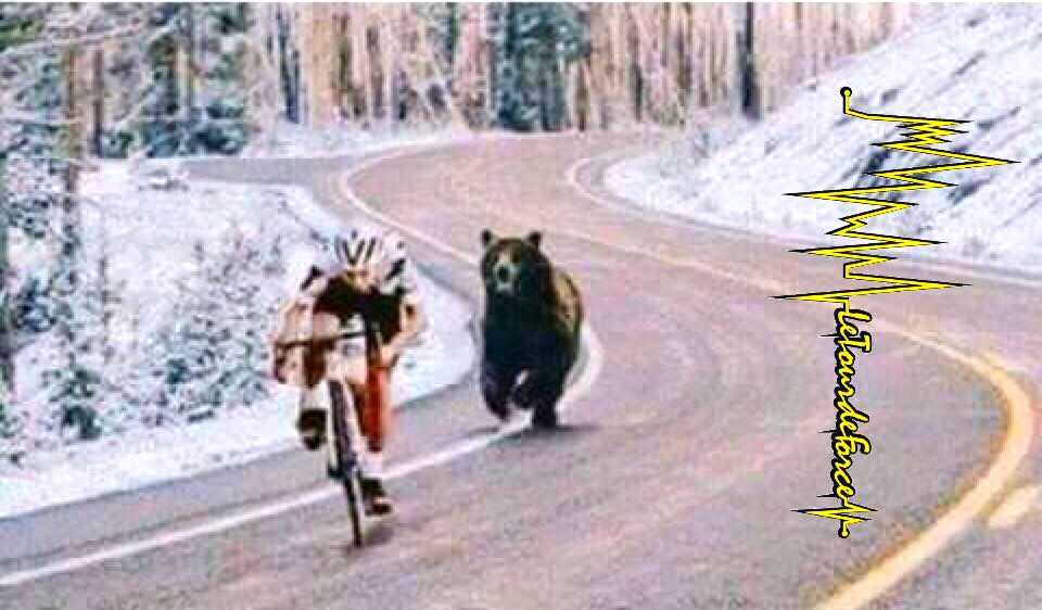 La Grand Bourle, orso insegue ciclista, mortirolo